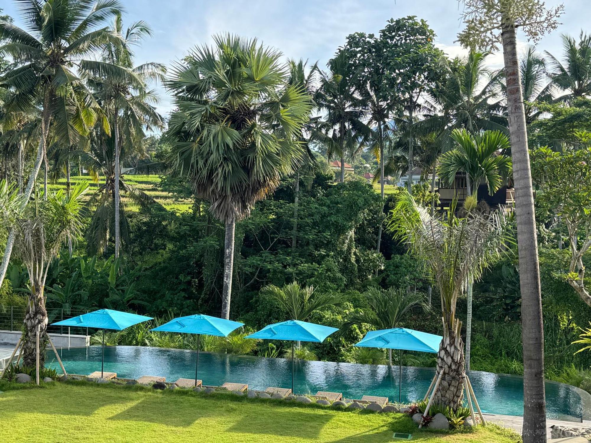 Rudra Sahashrara Bali - Ayurvedic - Health And Wellness Resort Ubud Dış mekan fotoğraf